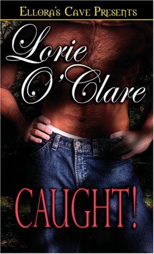 Cover image for Torrid Love