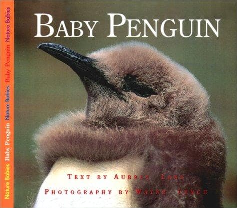 Cover image for Baby Penguin (Nature Babies)