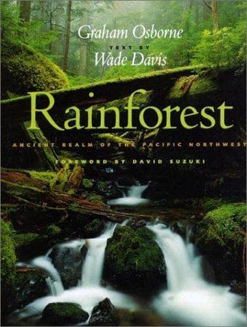 Cover image for Rainforest