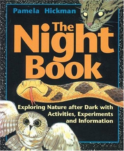 Cover image for The Night Book