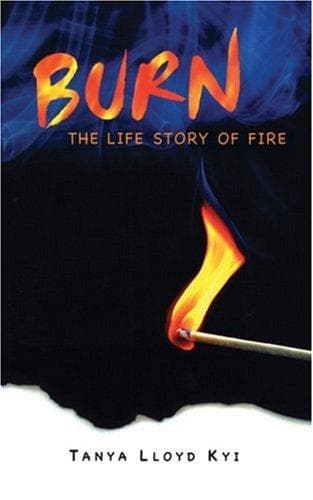 Cover image for Burn