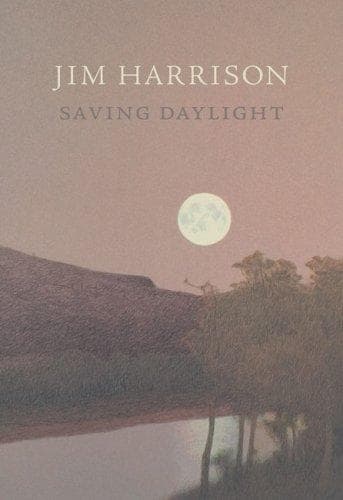 Cover image for Saving Daylight