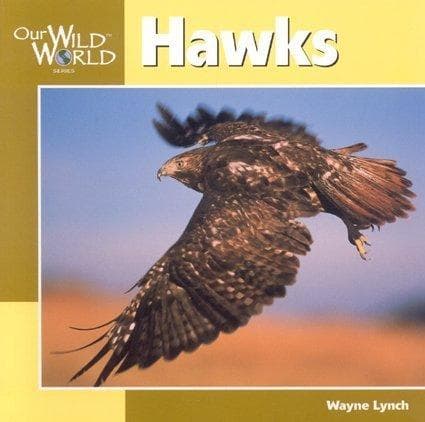 Cover image for Hawks (Our Wild World)