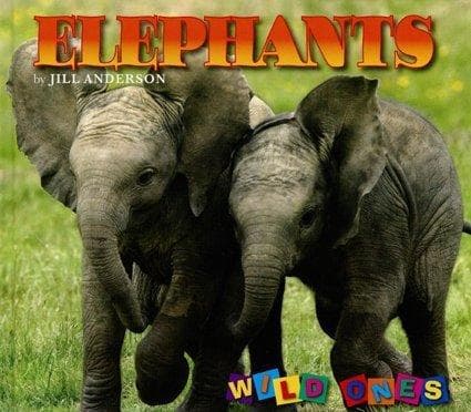 Cover image for Elephants (Wild Ones)