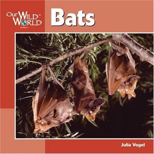Cover image for Bats (Our Wild World)