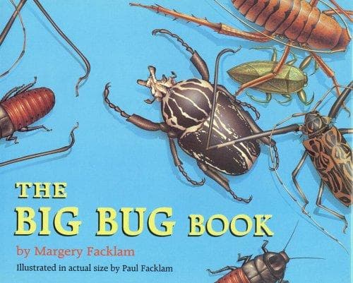 Cover image for The big bug book