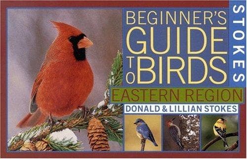 Cover image for Stokes beginner's guide to birds.