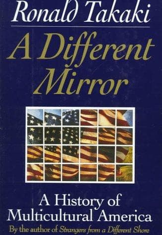 Cover image for A different mirror