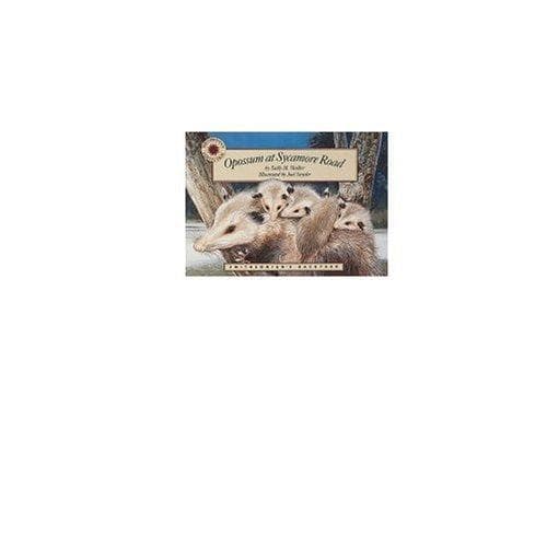 Cover image for Opossum at Sycamore Road