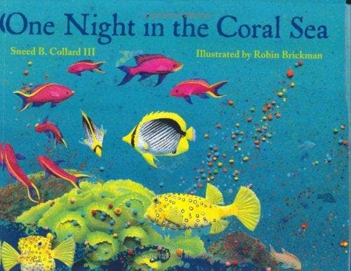 Cover image for One Night in the Coral Sea