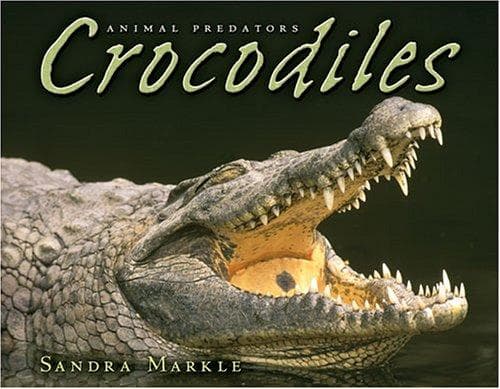 Cover image for Crocodiles (Animal Predators)