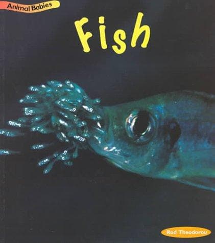 Cover image for Fish (Animal Babies)