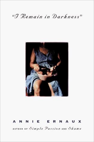 Cover image for I remain in darkness