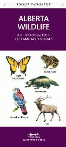 Cover image for Alberta Wildlife