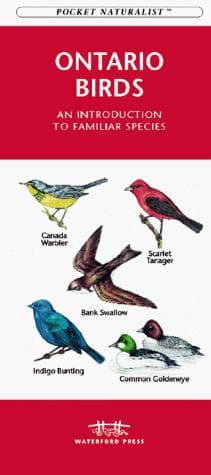 Cover image for Ontario Birds