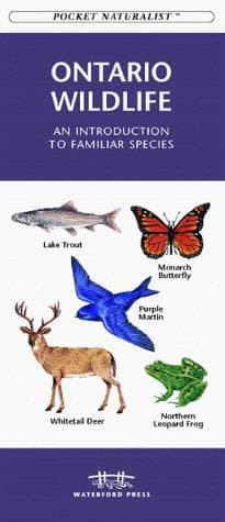 Cover image for Ontario Wildlife