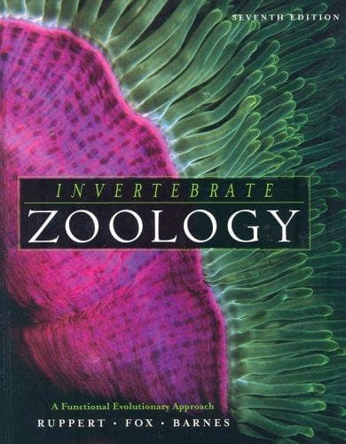 Cover image for Invertebrate Zoology