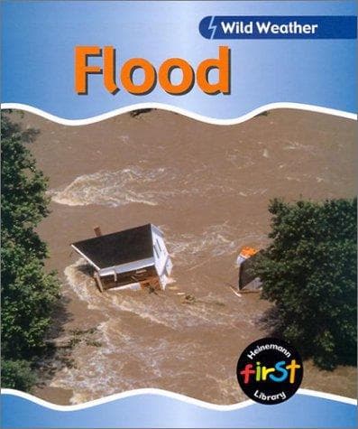 Cover image for Flood (Wild Weather)