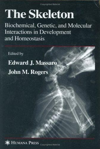 Cover image for The Skeleton