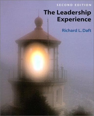 Cover image for The Leadership Experience