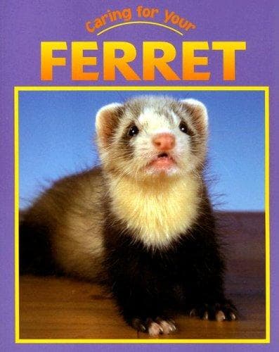 Cover image for Ferret (Caring for Your Pet)