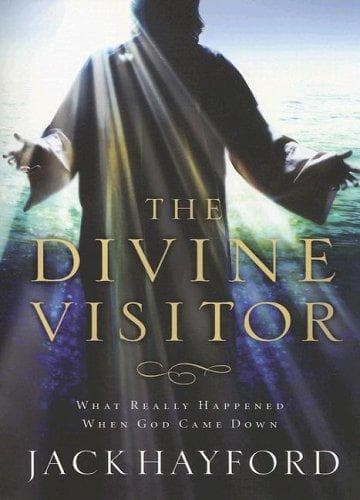 Cover image for Divine Visitor