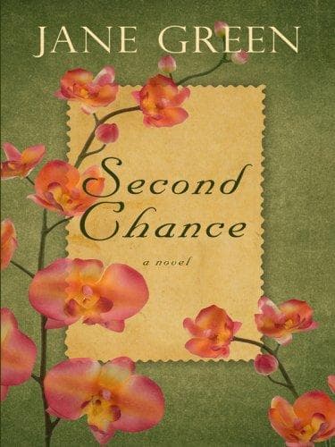 Cover image for Second Chance (Wheeler Large Print Book Series)