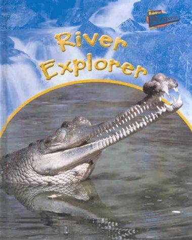 Cover image for Raintree Perspectives