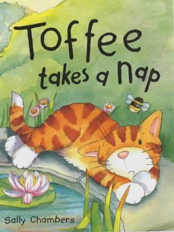 Cover image for Toffee Takes a Nap