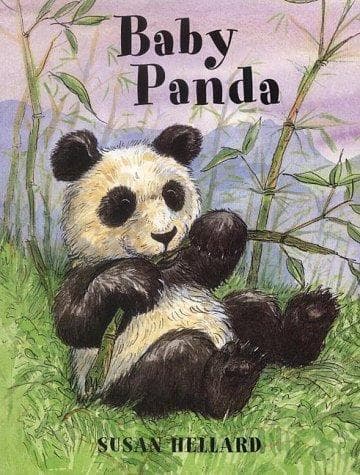 Cover image for Baby Panda (Baby)