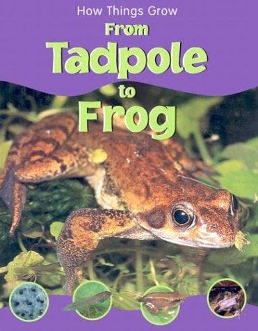 Cover image for From tadpole to frog
