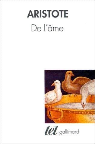 Cover image for De l'âme