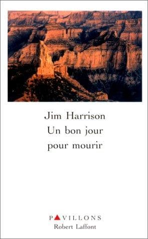 Cover image for Un bon jour pour mourir