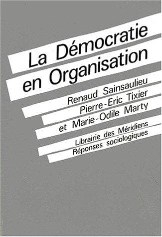 La démocratie en organisation
