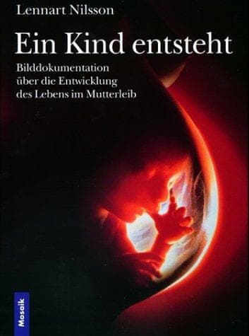 Cover image for Ein Kind entsteht.