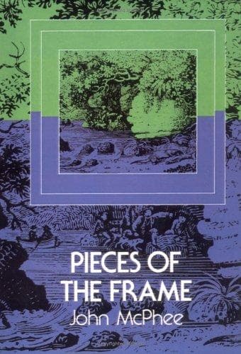 Cover image for Pieces of the frame