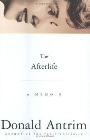 Cover image for The Afterlife