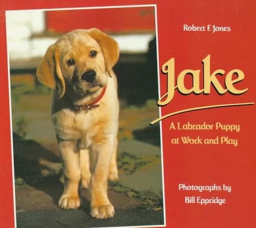 Cover image for Jake