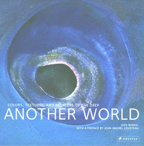 Cover image for Another World