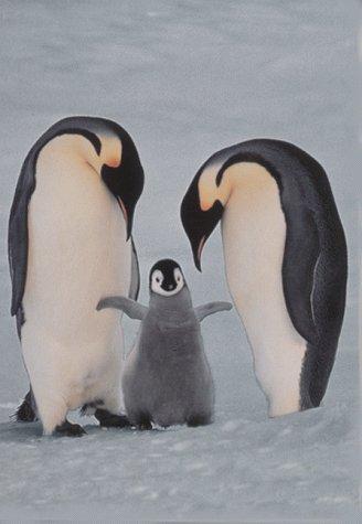 Cover image for Penguin