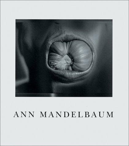 Cover image for Ann Mandelbaum
