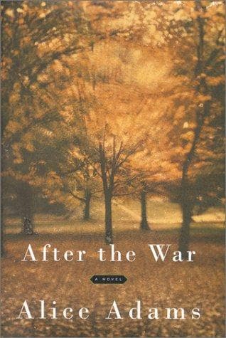 Cover image for After the war