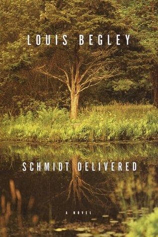 Cover image for Schmidt delivered