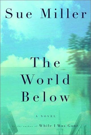 Cover image for The world below
