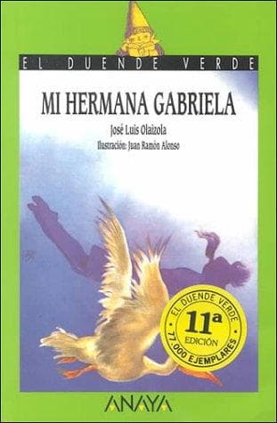 Cover image for Mi hermana Gabriela