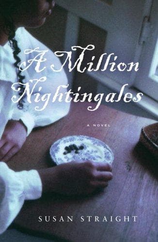Cover image for A million nightingales