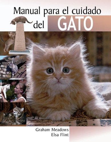 Manual para el cuidado de los gatos