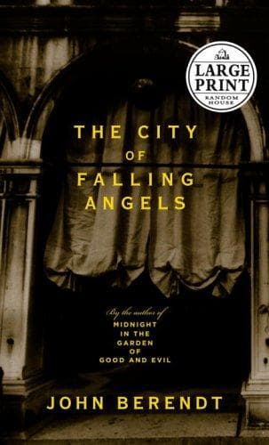 Cover image for The city of falling angels