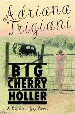 Cover image for Big Cherry Holler