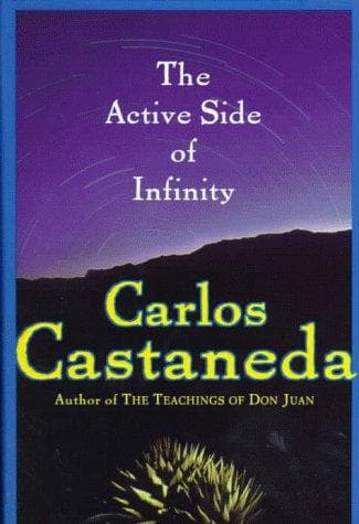 Cover image for The active side of infinity